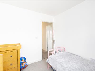 Picture 25